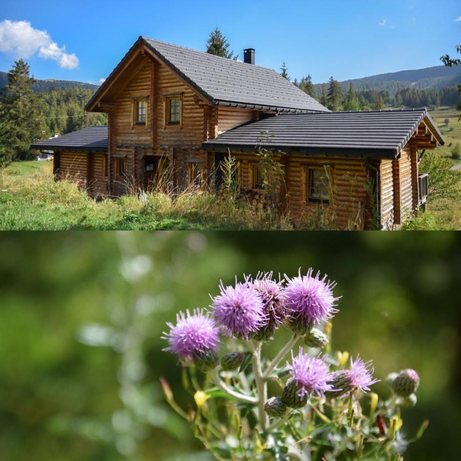 Magnifique chalet avec SAUNA Roubion Extérieur photo